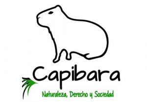 Capibara
