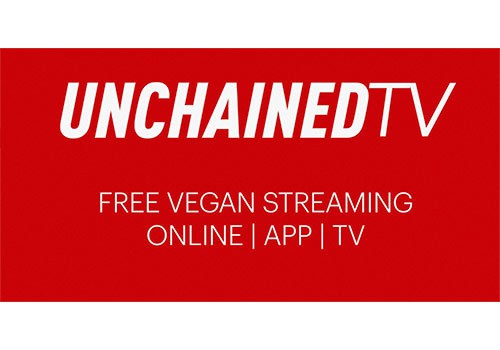 TV sans chaîne