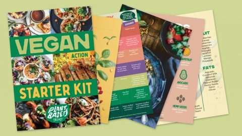 Vegan Pledge - Plant Based Treaty