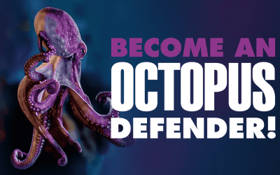 Paul Wesley, star de Vampire Diaries, soutient la campagne "Stop Octopus Farming".