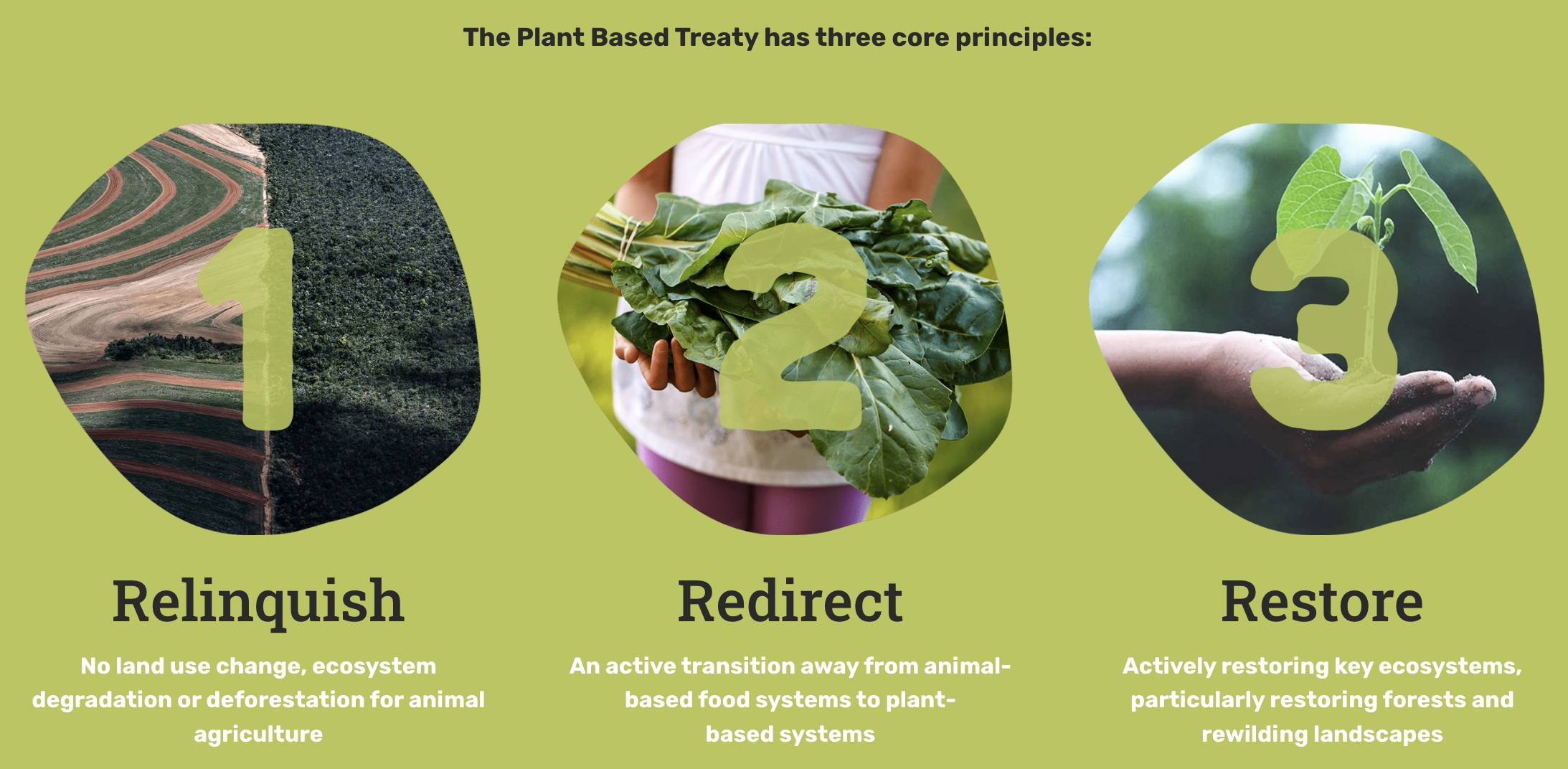 Plant Based Treaty