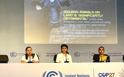 230 grupper, företag, akademiker och politiker uppmanar COP27 och världens ledare att förhandla fram ett växtbaserat fördrag.