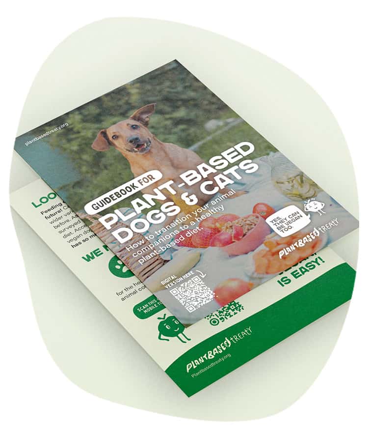 Best vegan hotsell dog food australia