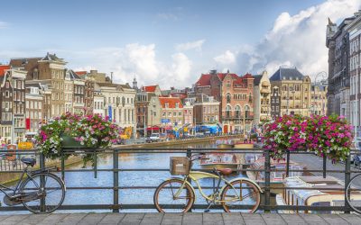 Amsterdam stał się pierwszą stolicą UE, która poparła apel o Traktat Roślinny w odpowiedzi na kryzys klimatyczny.