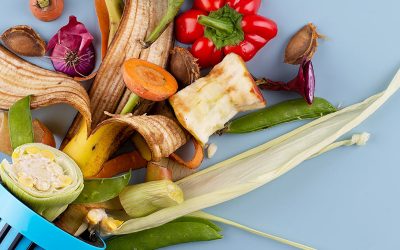 What Contributes To Food Waste And What Can We Do About It?