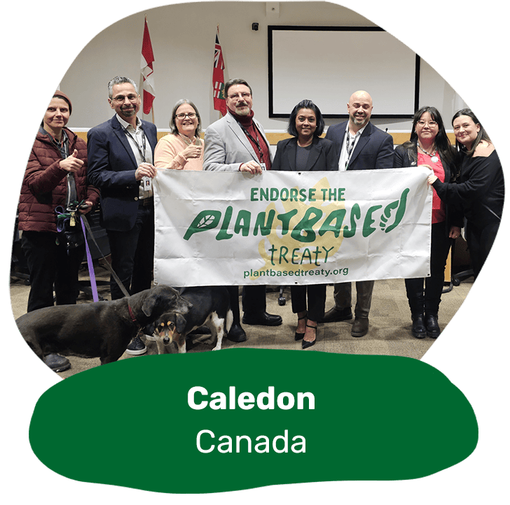 Caledon