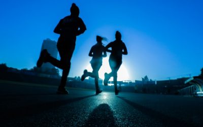 The Importance Of Exercise And Tips On Building Muscle