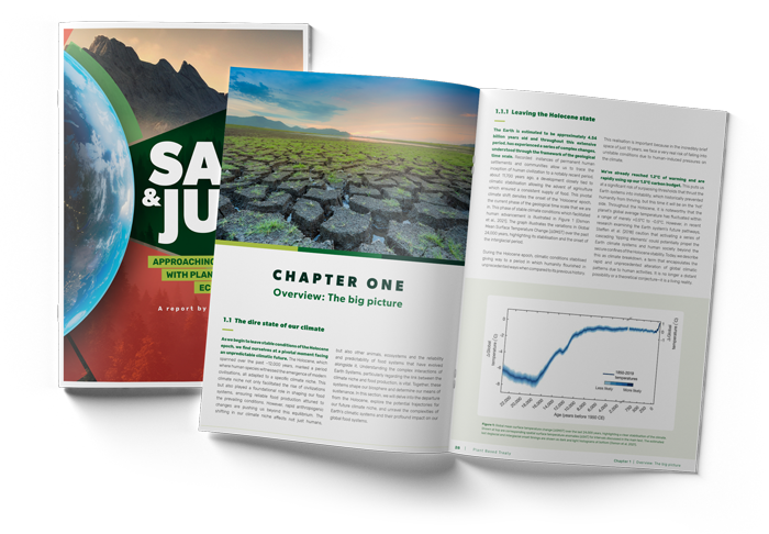 Report by Plant Based Treaty outlining vegan donut economics