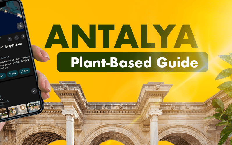 Discover Antalya’s Vegan-Friendly City Map